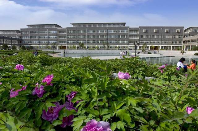 而邯郸学院,之所以想要升格为:师范大学,主要还是因为邯郸学院与师范