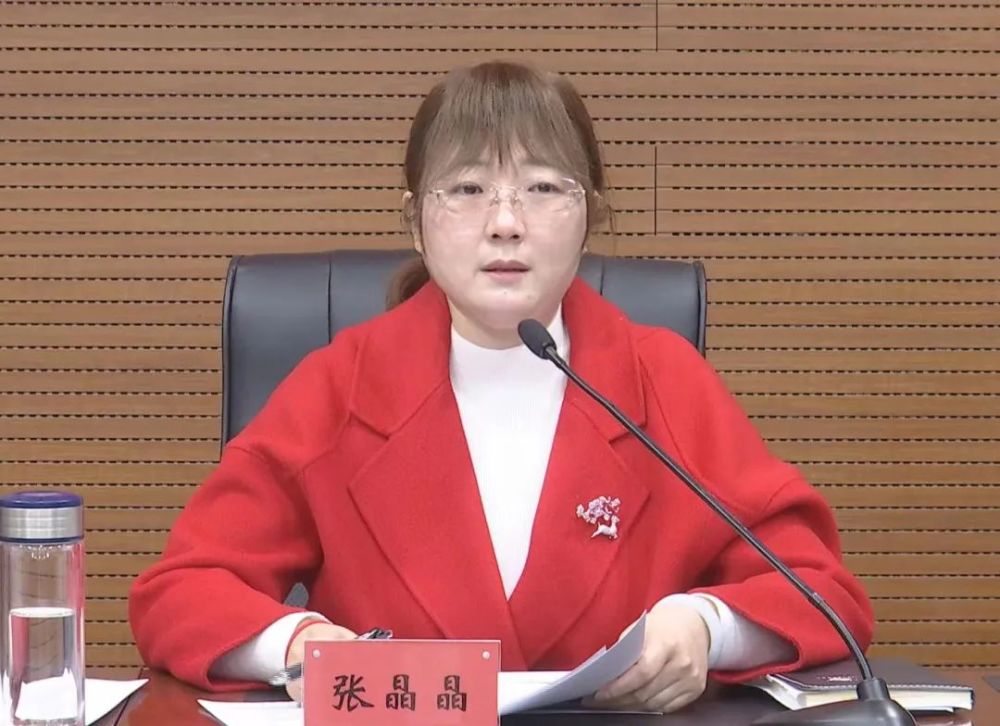 政府副市长张晶晶主持会议并讲话,各镇街(园区),相关部门及各成员单位