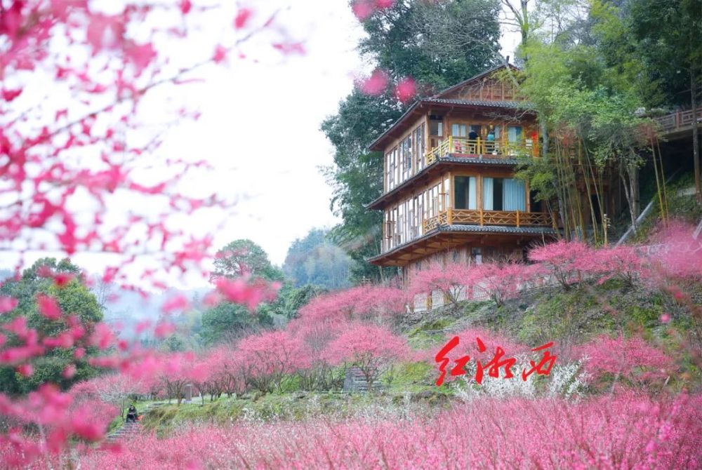 永顺县陈家坡景区图片