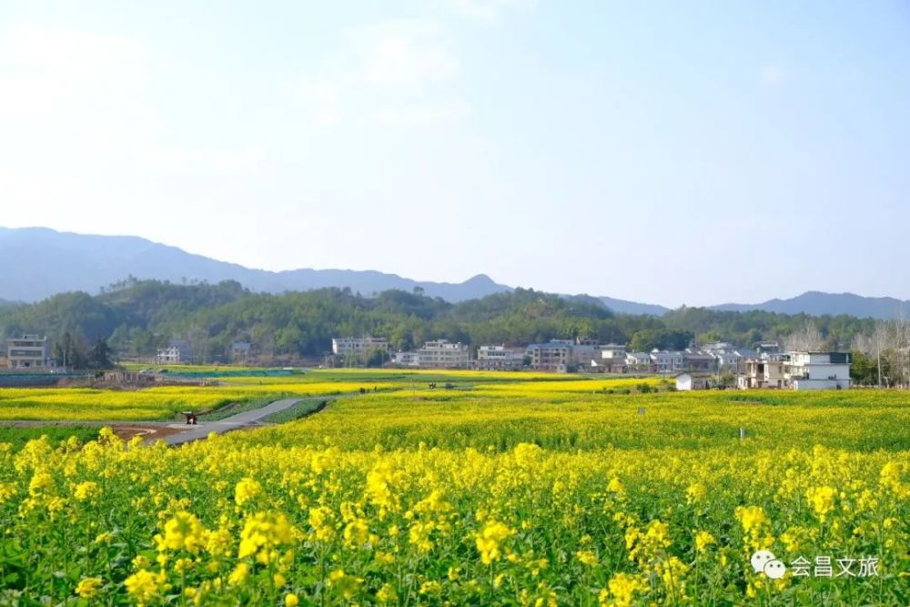 會昌文旅春風十里不如你會昌三八婦女節活動集錦