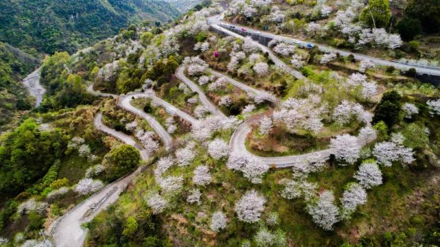 玻璃棧道|寧波|櫻花|森系|下午茶|徐鳧巖