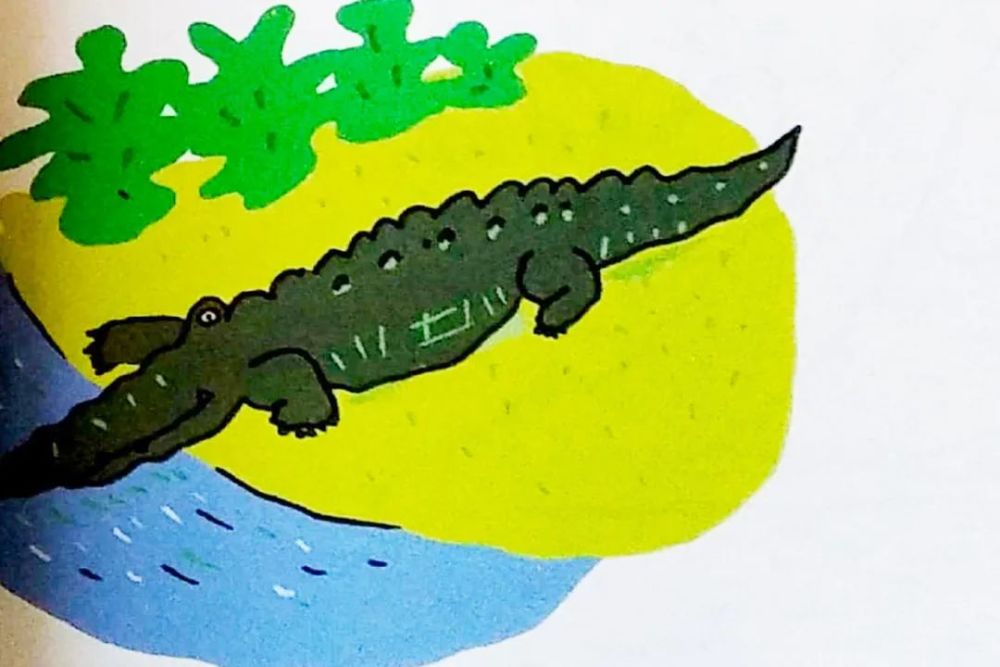 香蕉咚的一声掉进鳄鱼的大嘴里你猜接下来会发生什么呢爱吃香蕉的鳄鱼