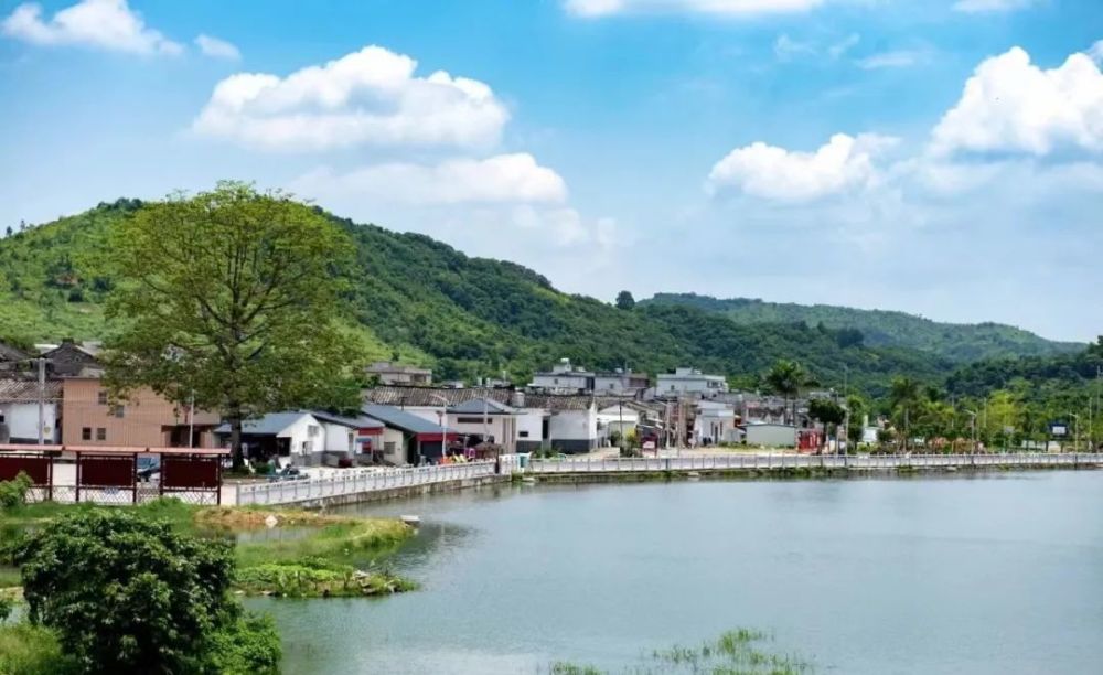 家乡美山水农家画里藏写意农村胜天堂记棉湖鲤鱼沟村