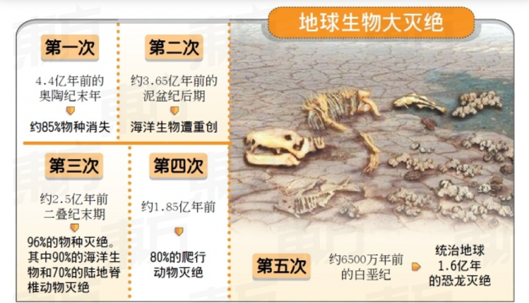 第六次生物大灭绝已经来了