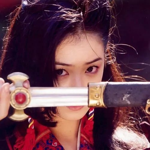 《伏羲女娲》,《胭脂楼》以及《混世奇才庞振坤》等诸多电视剧