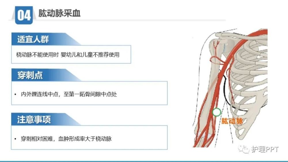 ppt动脉血气标本采集操作