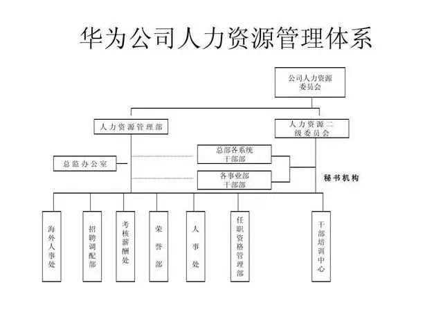 華為的人力資源管理架構,董事會下設人力資源委員會,具體實施層面又分