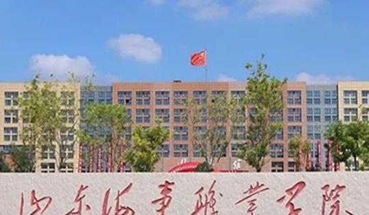 拟整合的两所学校是 山东海事职业学院 和 山东海洋科技大学,山东