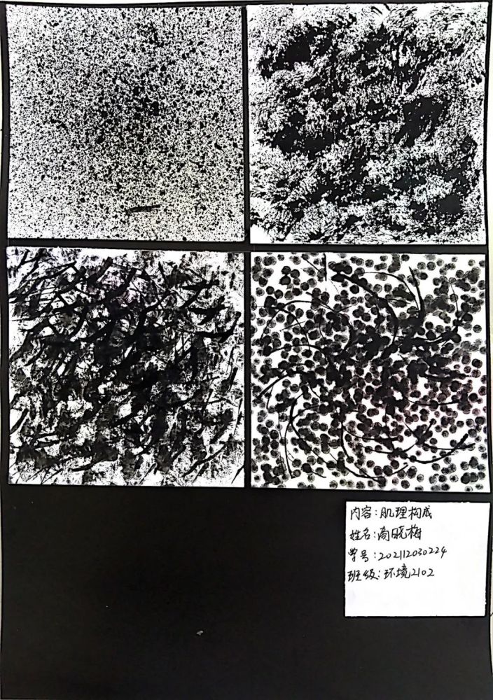 环境2102设计构成平构之肌理构成作品展示与总结