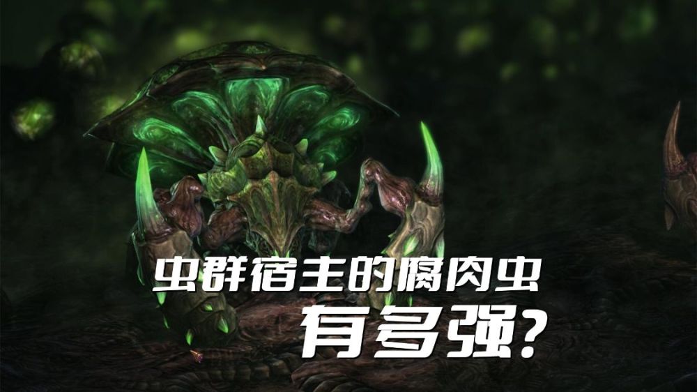 星际争霸虫群宿主的腐肉虫有多强掘地虫后期根本没啥用