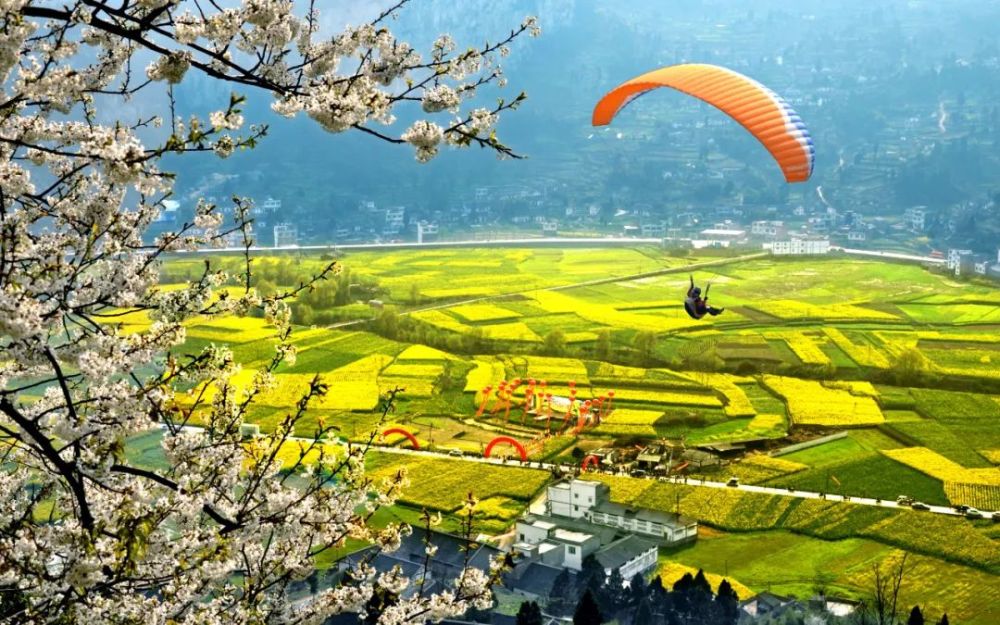 红色白沙金色田园丨2022古蔺双沙第十三届菜花节312盛大开幕