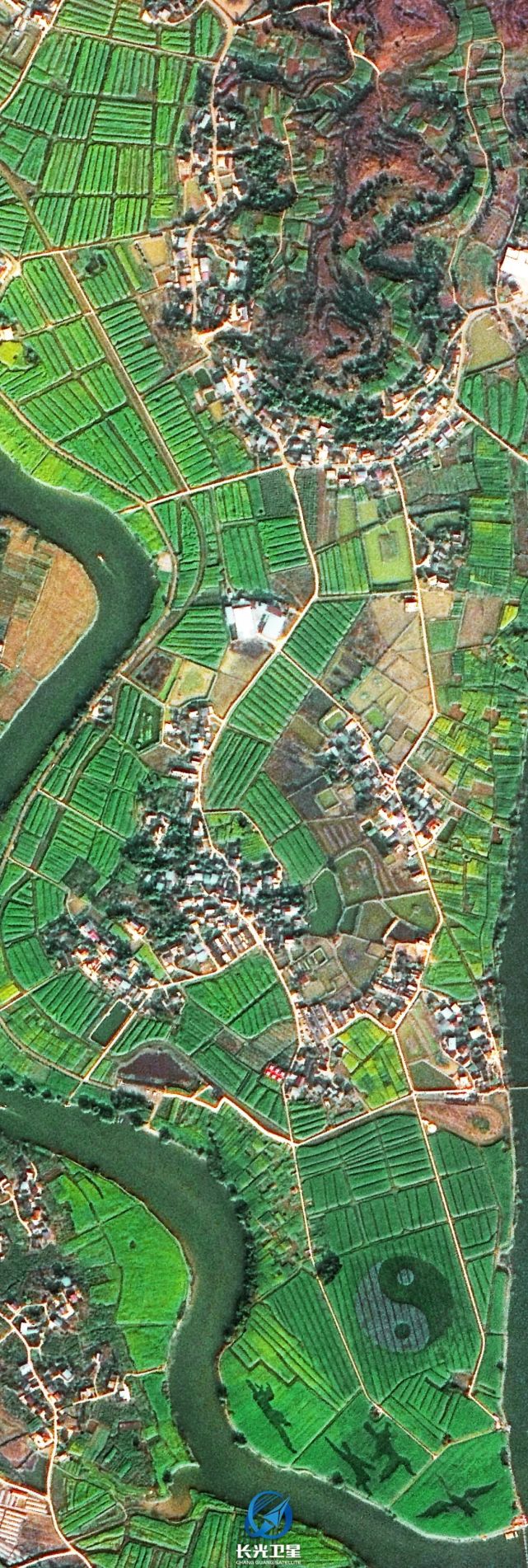 【赏春】三月,卫星邀您共赏最美油菜花|电商平台|长光卫星|卫星