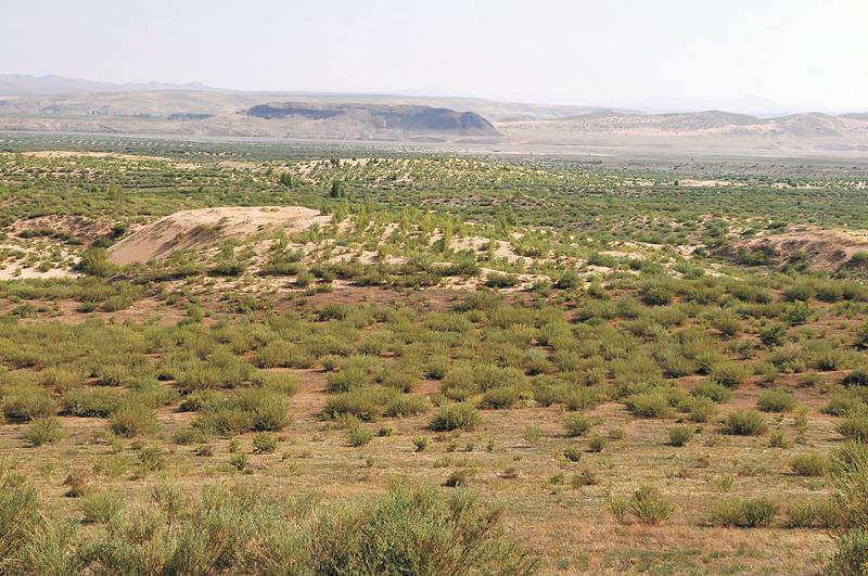 我国荒漠化防治仍然面临保护修复任务繁重,生态系统不稳定,水资源供给