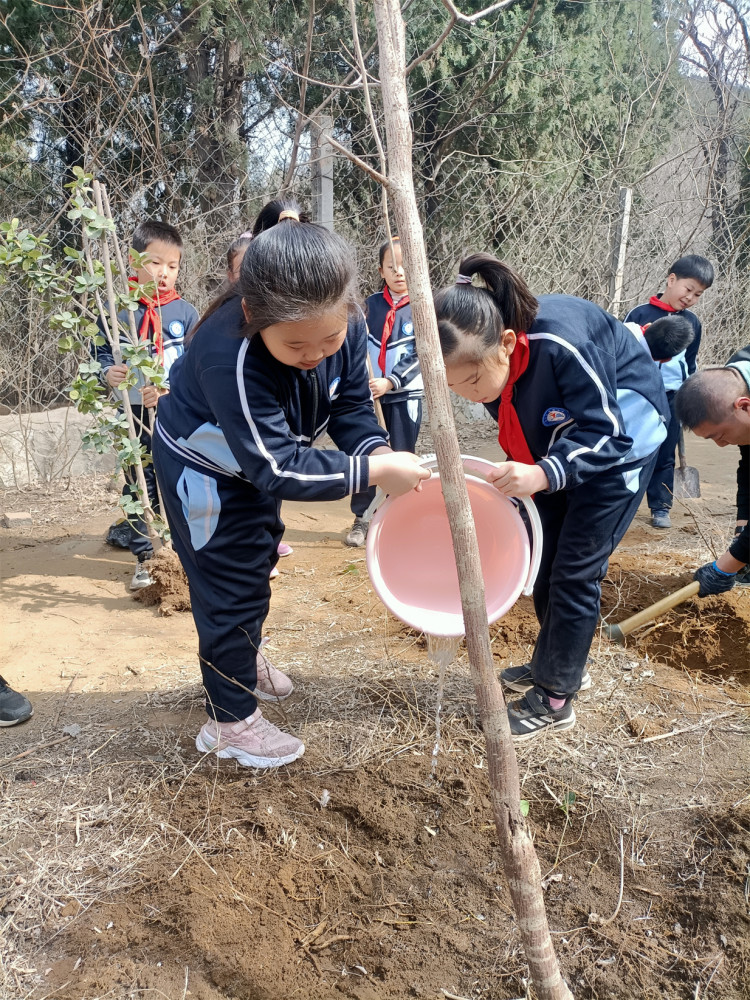山东淄川小学生义务植树体验劳动之乐