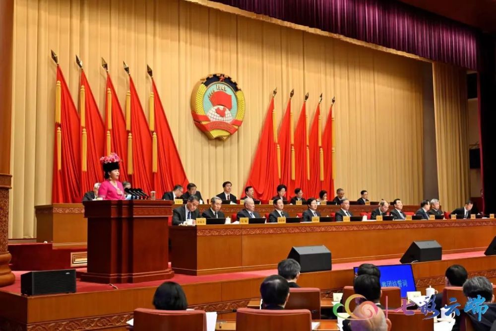 住滇全国政协委员高峰,张敏先后走上发言席,建言自贸试验区高质量发展