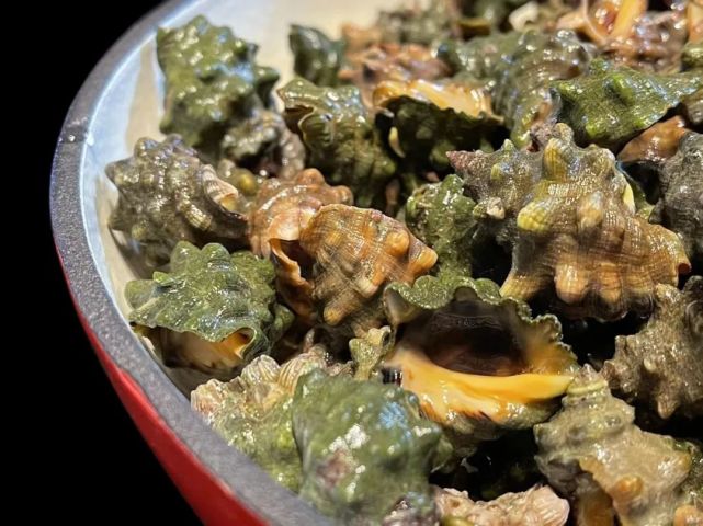 尝鲜东海野生"辣螺"·|肉饼|汽水肉|白菜|辣螺|东海|马蹄蒸肉饼