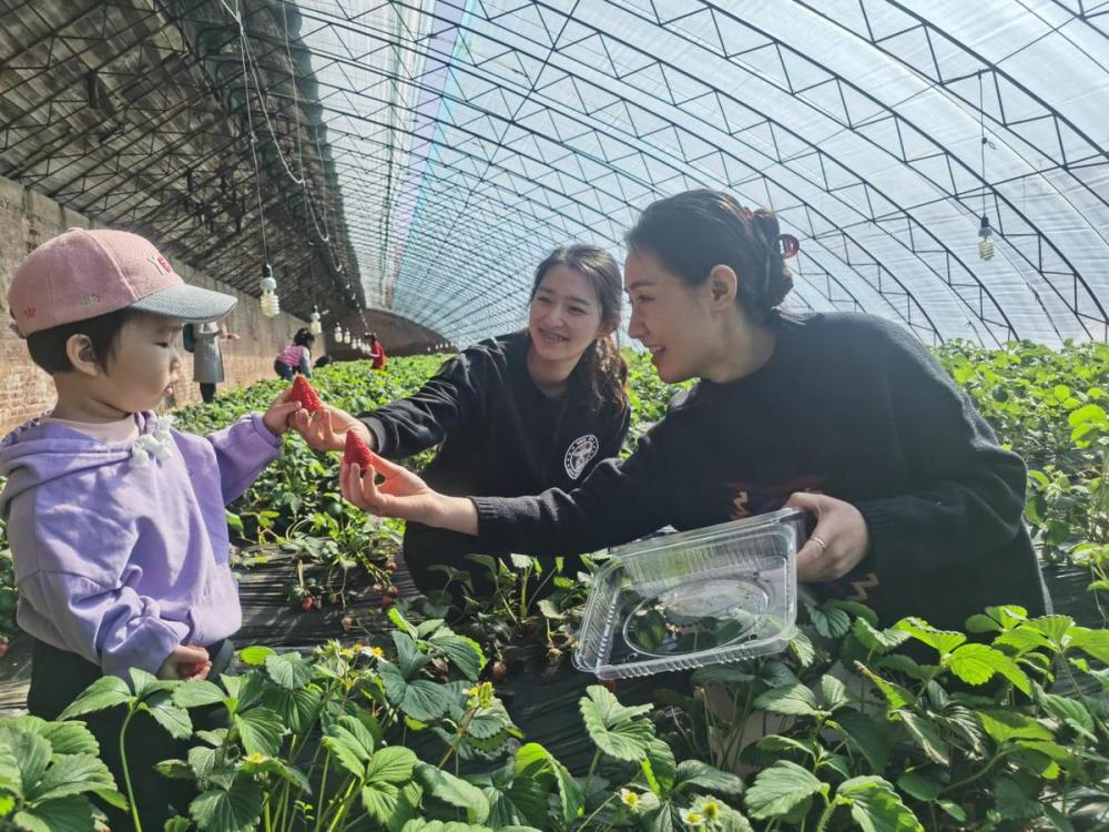 “劳动美巾帼心向党”——中建二局装饰北方分公司开展主题妇女节活动