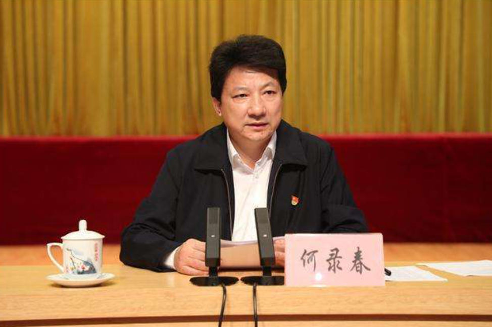 广西大老虎李新元落马记