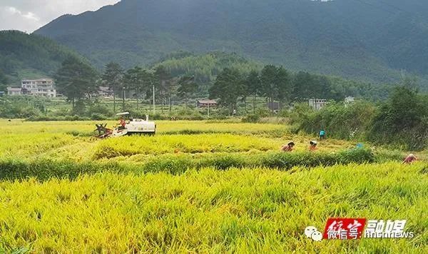 組圖丨看她們耕耘在希望的田野上