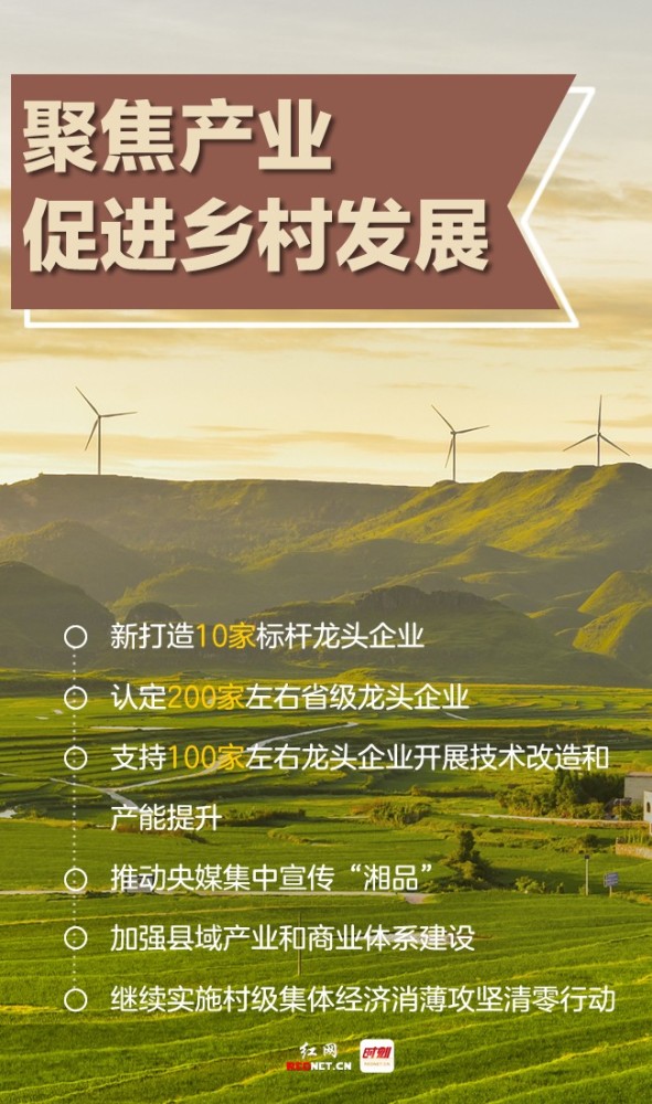 海报丨叮这里有一份湖南三农发展蓝图请查收