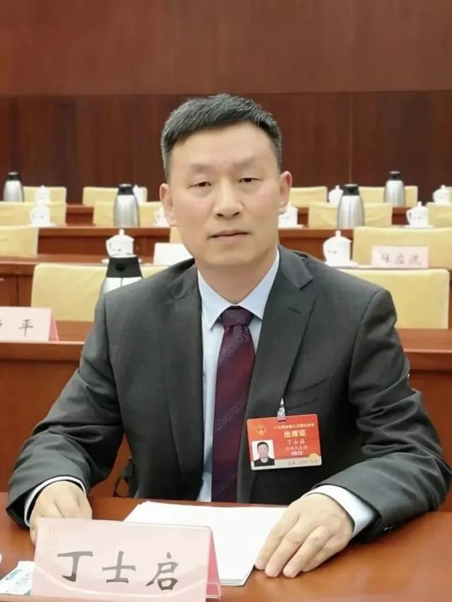 矿产资源|丁士启|王志良|战略|能源