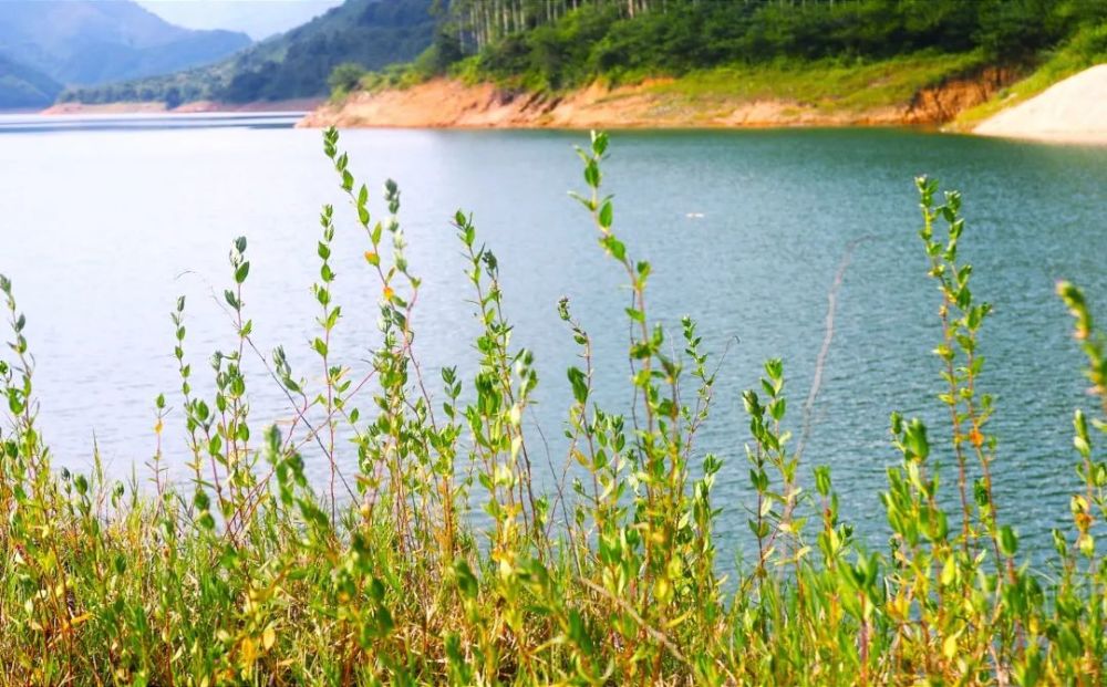 曝光怀集这里隐藏着两个绝美水库地址就在