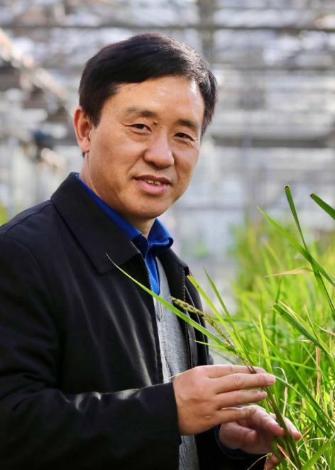 【小康人物】徐建龙:打造未来粮仓