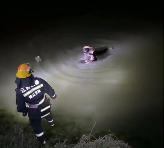 丹阳一女子跳河轻生不为自由爱情只因