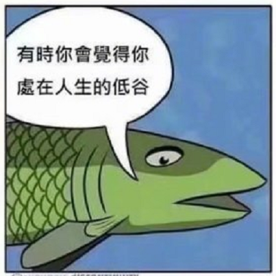 人生总是起起落落落落落