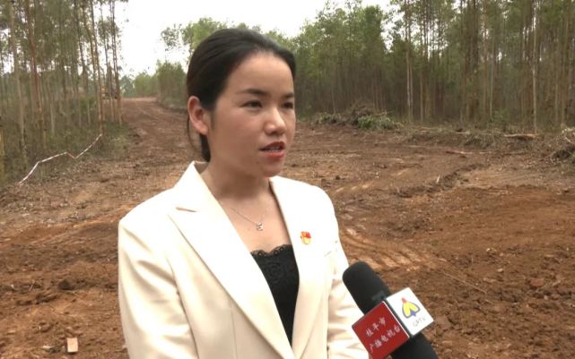 桂平这个项目开工建设