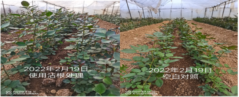 消之宝