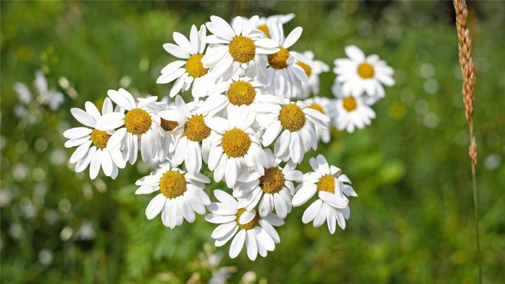 49日之后 三星座中大奖发横财 大显身手 赚钱无数 腾讯新闻