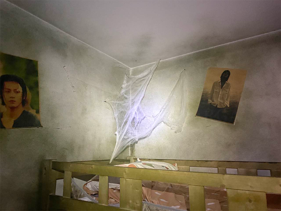 参选测评 南京 如月祭 柳下笙歌庭院 花间姊妹秋千 腾讯新闻