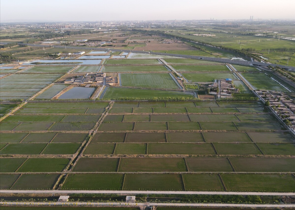 大银川传奇3:兴庆区大新镇的前世今生,尽在大新渠的沧桑巨变中_腾讯