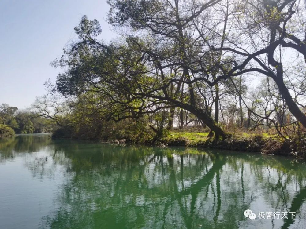 湘南道县两河口春风又绿两江河水油菜花海一片金黄
