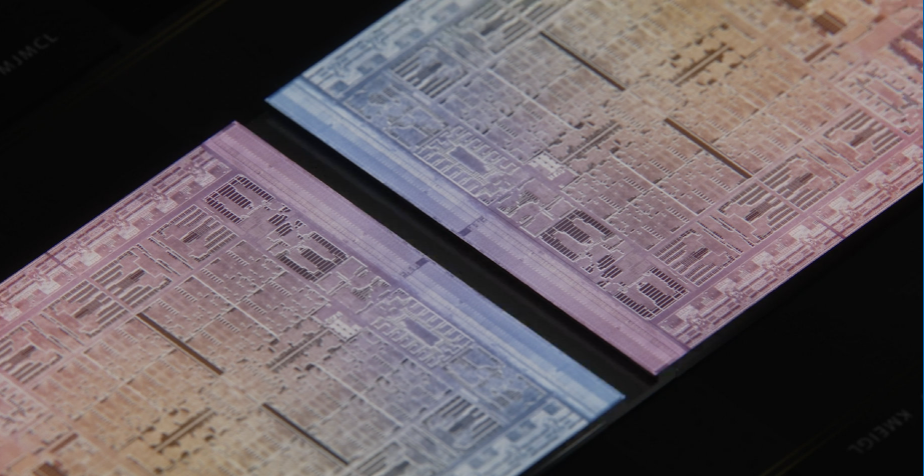 大只500官网-大只500代理-大只500官方平台