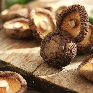 香菇的功效与作用,香菇怎么做好吃