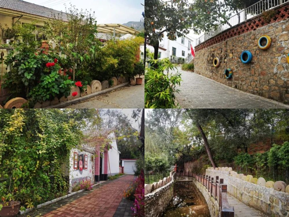 案例发展特色产业助力乡村振兴山东淄博中郝峪村打造世外桃源