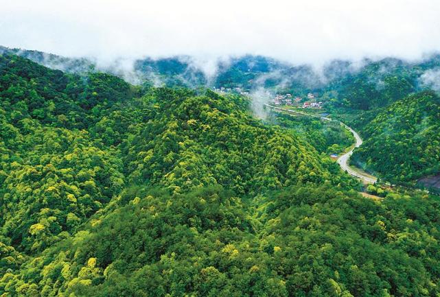 全国林改策源地——福建省龙岩市武平县万安镇捷文村 黄海 摄