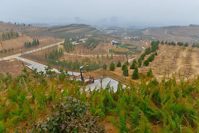 河南省洛阳市偃师区首阳山矿区植被修复及废弃地利用.图片来源:大河网