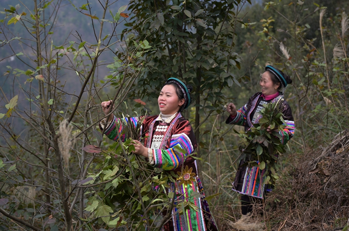 药浴排行榜_药浴精一号行业深度研究报告(2)
