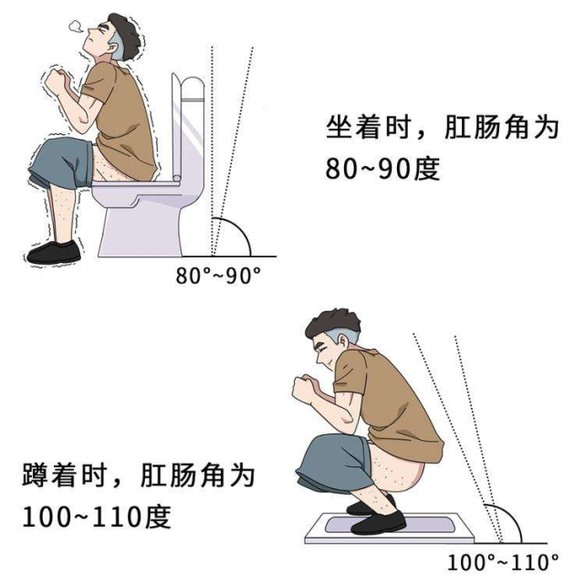 排便姿勢大揭密對於大部分人來說,什麼時間上廁所都可以.