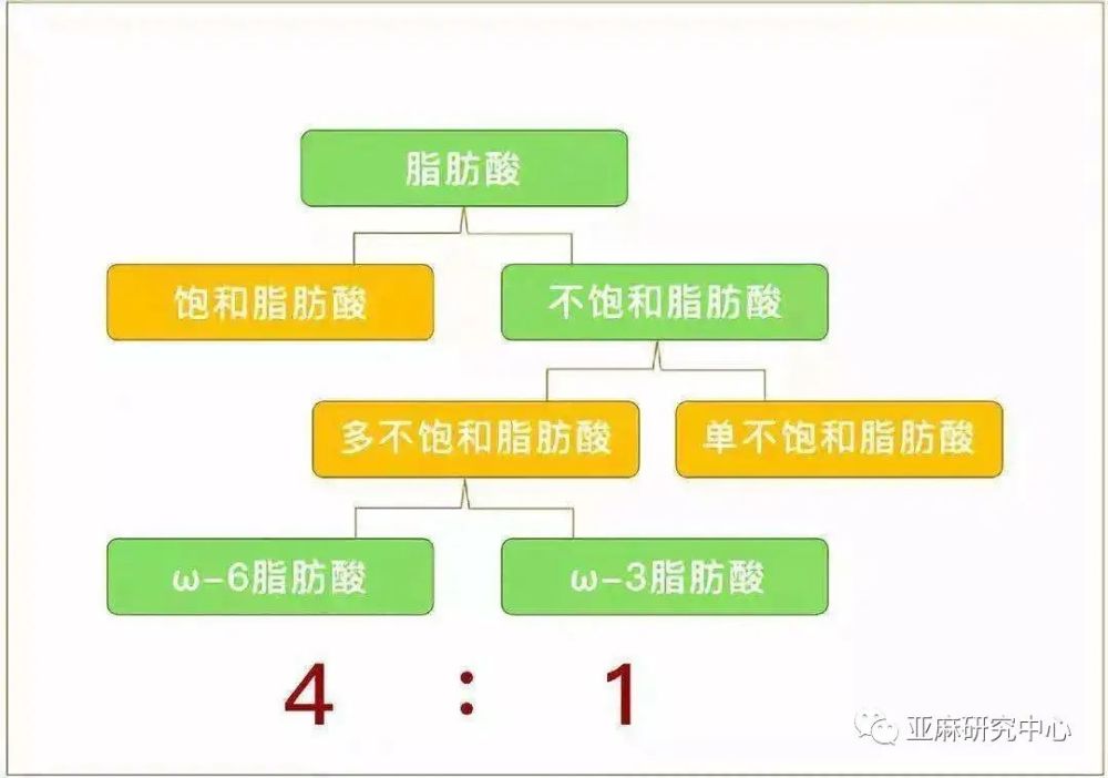 而欧米伽膳食为你的身体提供理想配比的必需脂肪酸及其他关键营养特质