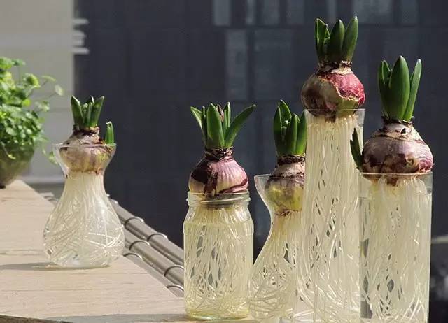 消之宝