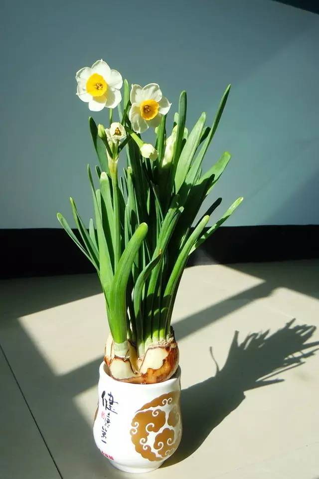 消之宝