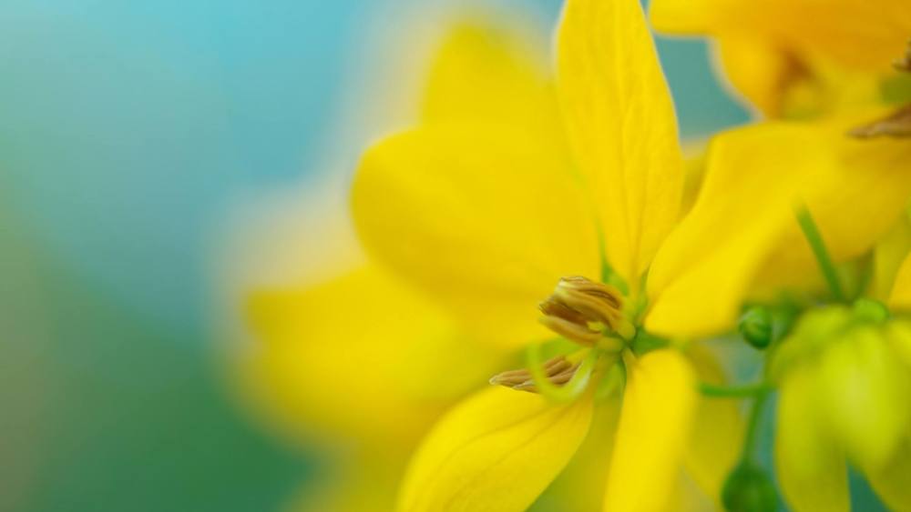 奠定了有利的基础,大财小财源源不断,连发千万横财,一夜富贵也有可能