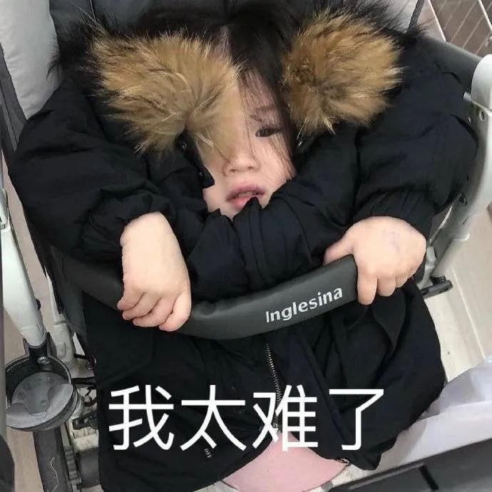 表情包老婆是不喜歡我了咩