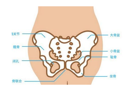 孕妇耻骨痛该怎么办