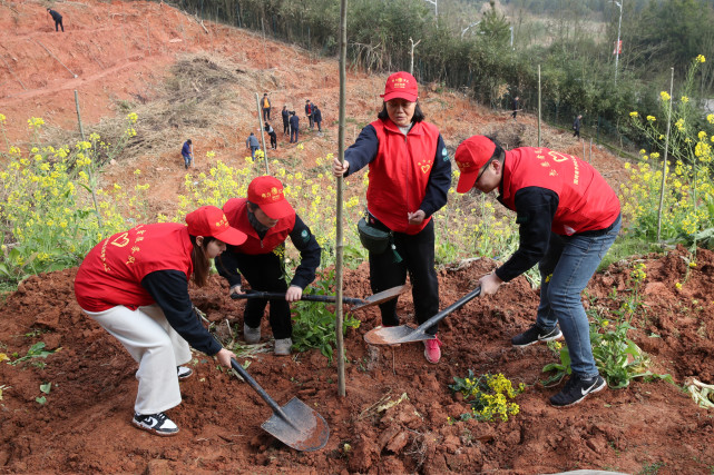 福建浦城:义务植树十五载 荒山增绿万余株