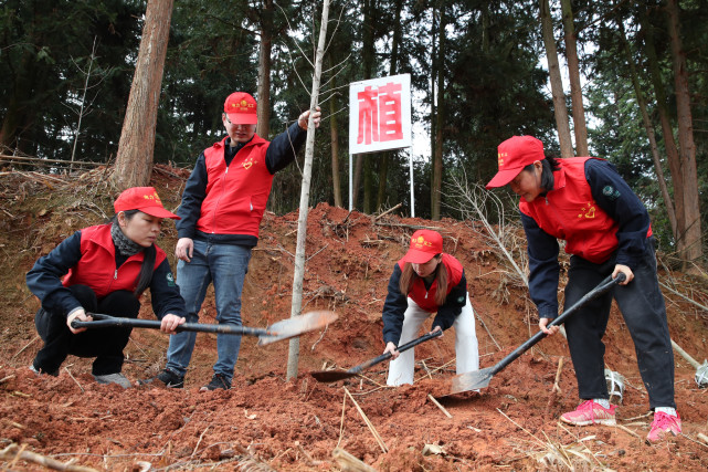 福建浦城:义务植树十五载 荒山增绿万余株